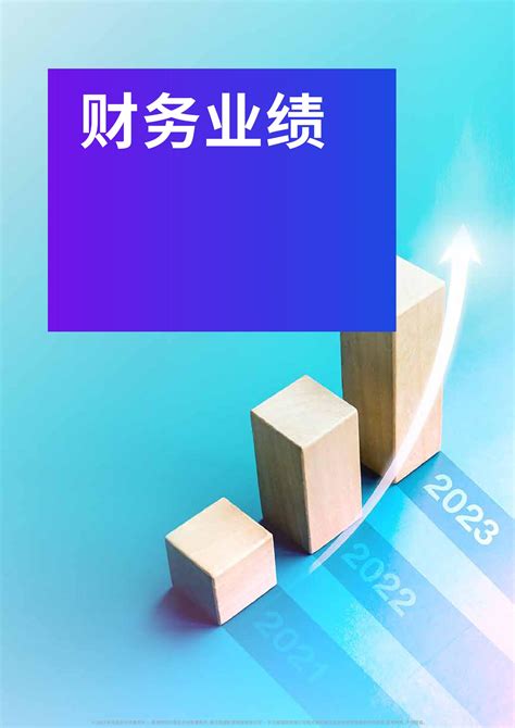 香港銀行排名 2022|2023年香港银行业报告 财务数 据摘要